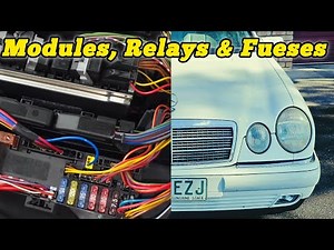 Relays, Modules and Fuses Comprehensive Guide, W210 Mercedes E-Class.