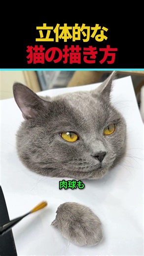 立体感のある猫の描き方🐱✨