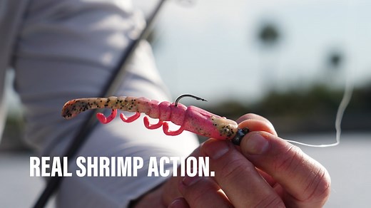 Love the classic Gulp Shrimp? Then you’re gonna love this.. introducing the new Gulp Turbo Shrimp‼️ A unique leg design oscillates back & forth on the retrieve to create turbulence and vibration in the water, with maximum Gulp scent dispersion💯 Check out the 3in, 4in, & 5in size options with 11 colors ranging from natural to vibrant, at berkley-fishing.com/collections/new-arrivals/products/gulp-saltwater-turbo-shrimp 👀 #berkleyfishing #yourfishourscience #fishing #inshorefishing #saltwater #gu