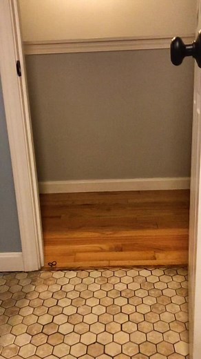 I lost the game of hide and seek...wait for it! #adventuresinpetsitting🐾 #dogsofttiktok #greatpyrenees #mainegang #funnyanimals #loser #hideandseek