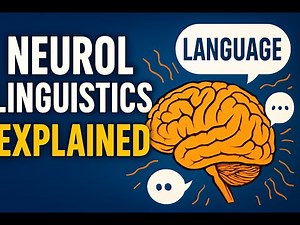 How Your Brain Translates Language (Neurolinguistics)