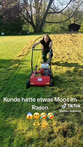 Effective Lawn Care: Tackling Moss in Your Garden