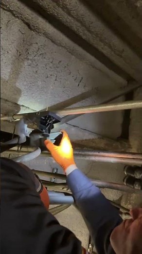 Versa-Tech Rodent Knockdown for Rat Infestation | Los Angeles Exterminator