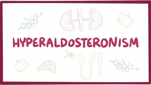 Hyperaldosteronism: Video, Causes, & Meaning | Osmosis