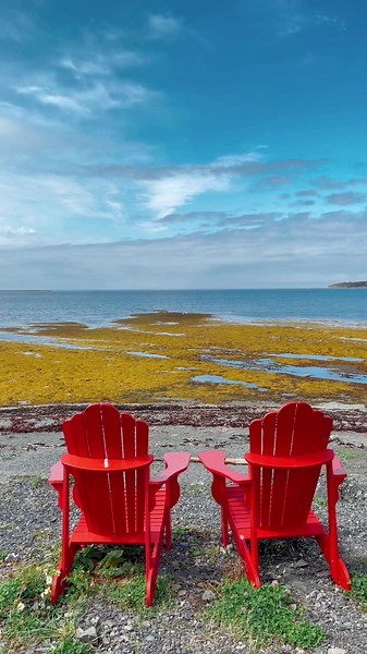 Rocky Harbour, NL📍 #newfoundland #tourism #nl #canada