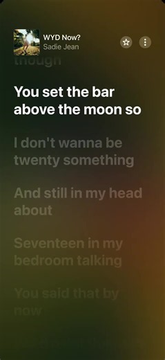 I Don't Wanna Be 20 Something Lyrics – 'WYD Now' & Related Lines