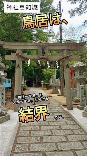 神社の鳥居の意味を一言で言うと✨ #shorts #神社仏閣 #鳥居 #神道
