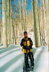 Aspen groves reveal secrets