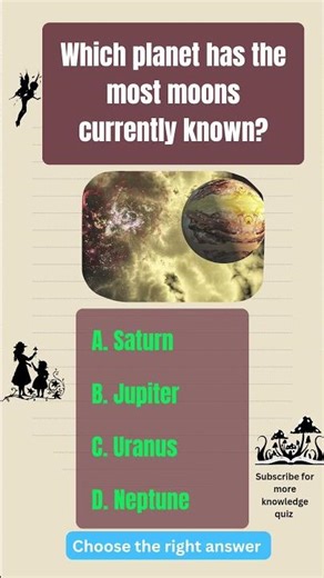 quiz questions