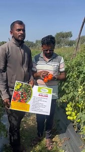 380K views · 3.6K reactions | Agriculture India on Reels | Facebook