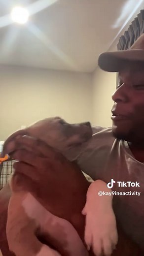 Free Puppy Adoption: Meet Big Mama!