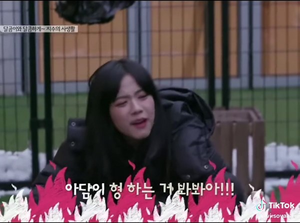 Dalgom punya saingan, jisoo begitu bahagia ketika dalgom juga pintar #jisooblackpink #blackpinkblinkforever #jisoowanitacantik2025 #BlackPink