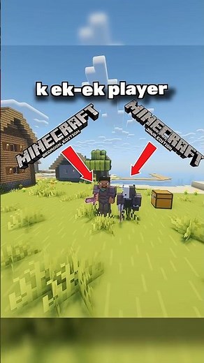 Bedrock VS Java Edition || Part 2