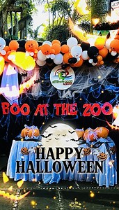 Huge spooktacular thanks to all the amazing families and kids who made Boo at the Zoo a roaring success! 🐊🎃 From colorful face paints to sweet treats and creative costumes, you made this Halloween celebration truly unforgettable! See you next time! 🍬✨ For bookings or inquiries, message us here: 📞 63917 702 5953 #DavaoCrocodileParkandZoo | Davao Crocodile Park & Zoo
