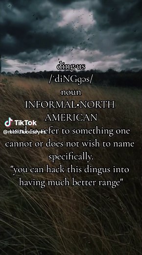 Understanding the Definition of Dingus and Its Informal Usage