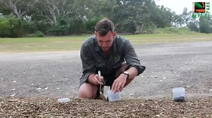 29K views · 158 reactions | It's getting hotter and wetter along the...