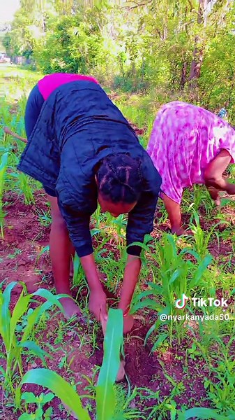 Understanding Wife Material Traits in Relationships