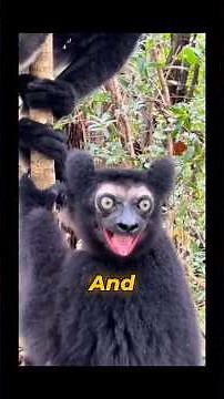 8 Unbelievable Things Nobody Knows About Animals #AnimalFacts #Wildlife #animals