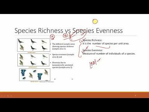 Species Richness and Evenness