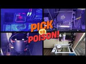 What filtration should you run on your reef tank?!