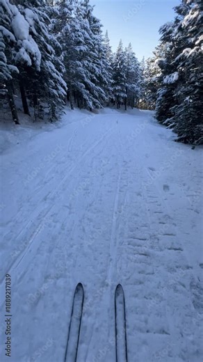 First person view of cross country skiing on a trail through a snowy forest in the French Pyrenees