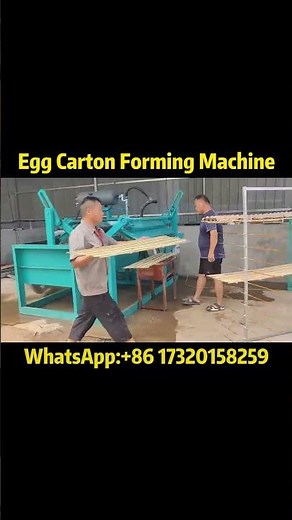 Egg Tray Making Machine in Action | Recycled Paper to Profitable Products 🥚📦#eggtraymachine