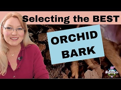 The Perfect Bark for Orchids (Tips to Choose the Right One)