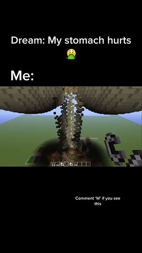 #dream #stomach #poop #funny #comedy #youtube #mc #minecraft #minecraftfunny #mine #craft credit: ChronosPallas on yt. #fyp #fy #foryou #mcyt #dsmp