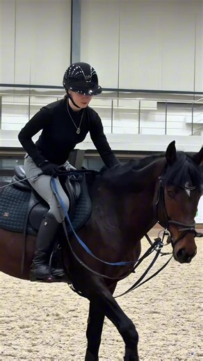 relaxation😛 #конныйспорт #equstrian #конкур #норс #рекомендации