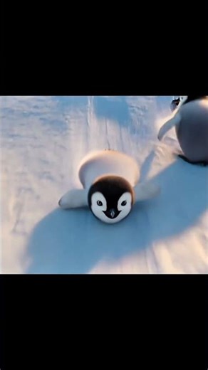 Cute adorable little baby penguin #babypenguin #cute #penguin #thepenguintoons #usa #penguinfans