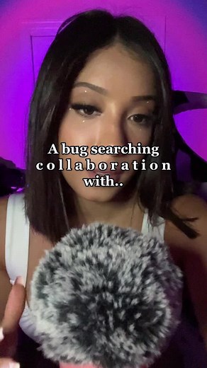 Check out all of these amazing bug searchers! 🐛🫶🏼 #asmr #fyp #bugsasmr