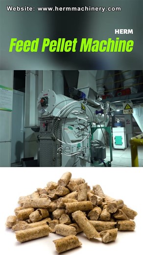 Animal Feed Pellet Making Machine - Herm Machinery #feedpelletmills #feedpelletmachine