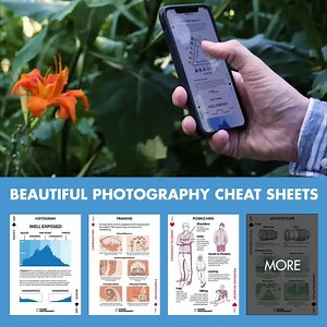 The Ultimate Guide For Amateur Photographers 📸 👇 Click the link below to grab yours 👇 https://expertphotography.com/sp/p15-quick-capture-cheat-sheets-ad/ | Expert Photography