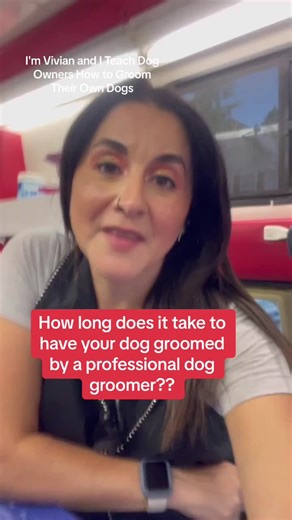 Wanna learn hire to groom your dog? There are a couple ways that I can help. My online dog grooming course, a self paced online course that teaches you everything you need to know to groom your dog. From basic skills like brushing, to more advanced skills like full body haircuts and everything in between. If you need more help my virtual coaching sessions would be a perfect addition to help enhance your grooming skills. Why is a virtual dog grooming session good for you?? I will explain how you 