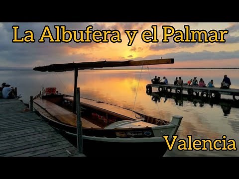 THE ALBUFERA AND THE PALMAR OF VALENCIA🇪🇦 A wonderful excursion