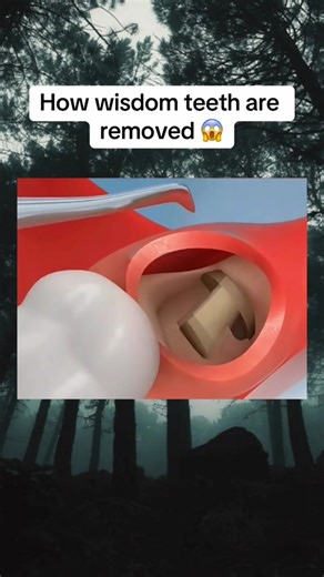 73_Part 3 How things actually work . #scary #mystery #interesting #explore #trending #fyp #scaryvideos | Factsfactory | Facebook