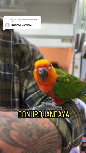 Animal Breeding catania su TikTok