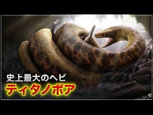 史上最大の蛇 ティタノボア