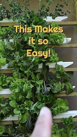 125K views · 3K reactions | #diy #hydroponics Made Easy! ❤ #garden | Keep on Growin' | Facebook