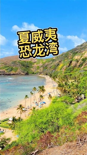 去夏威夷千万别错过恐龙湾！站在观景台俯瞰，那一湾清澈见底的碧绿，足以治愈所有生活里的烦恼#夏威夷 #夏威夷旅游 #欧胡岛 #恐龙湾 #HanaumaBay