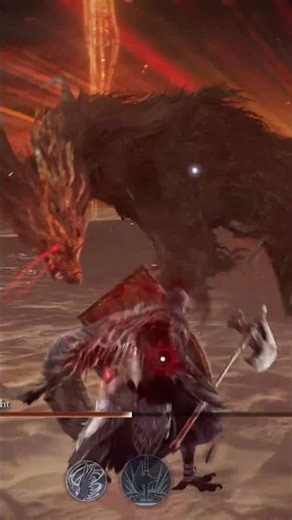 should have brought more cheeto dogs