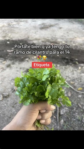 Ramos Creativos para Cada Ocasión