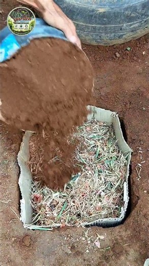 Jangan Buang Kulit & Sisa Daun Bawang! Ternyata Bisa Jadi Kompos 🌱♻️. #tipsberkebun