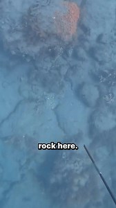 Invasive Lionfish Hunting | Kelly Young