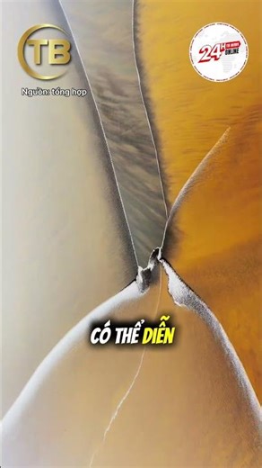 Close-up of a butterfly's wings | 24h News #short