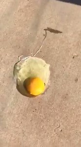 1M views · 5.2K reactions | HOT HOT HOT! It was so hot in Phoenix...