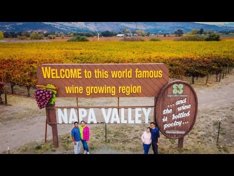 Napa Valley in Fall: Breathtaking Aerial Views of Vineyards & Autumn Colors 🍂