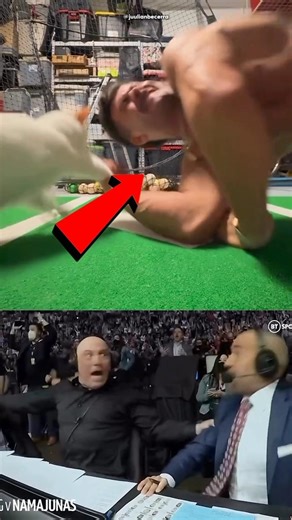 Boy vs Cat Arm Wrestling Gone Wrong ☠️🔥