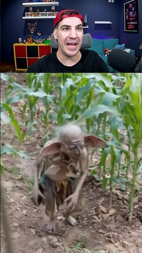 Esse animal EXISTE ?!! #curiosidades #animal