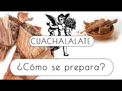 El Cuachalalate ¿Cómo se prepara?- EL ÁNGEL DE TU SALUD (2a Parte)